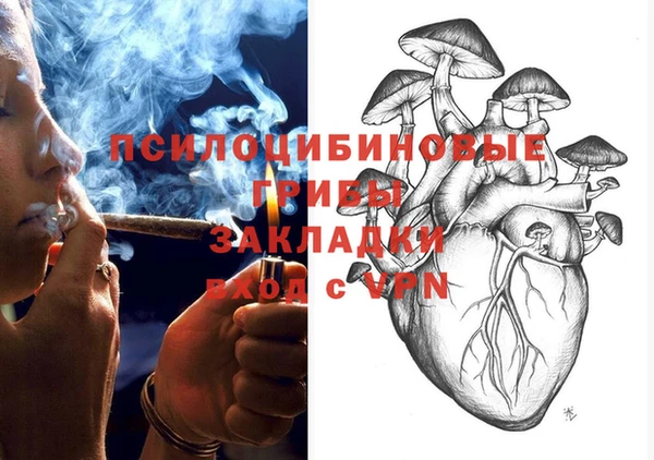 дмт Новокубанск