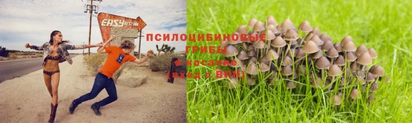 дмт Навашино
