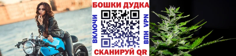 Шишки марихуана марихуана Починок